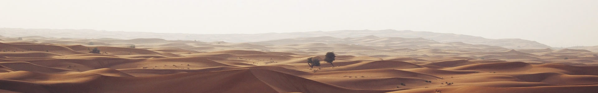 ʯƼ޹˾